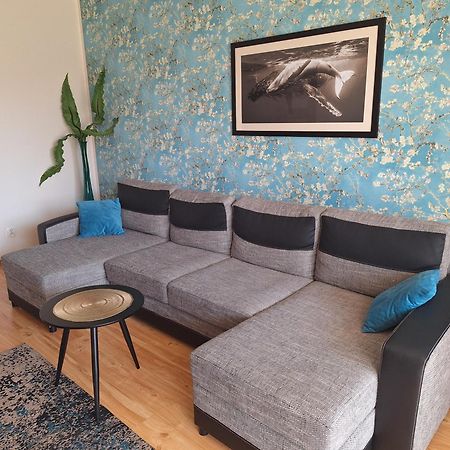 Apartament Galeria Warminska 奥尔什丁 外观 照片